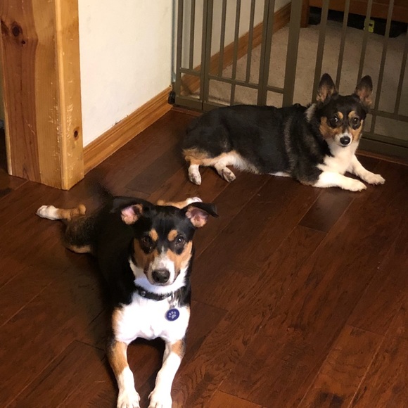 Meet your Posher, T - Picture 1 of 1